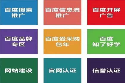 百度推广的广告投放策略案例